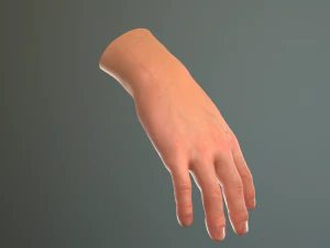 male hand rigged 3D Model
