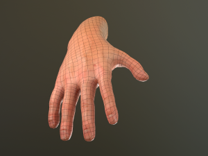 male hand rigged Modelo 3D