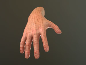male hand rigged 3D Model