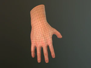 male hand rigged 3D Model