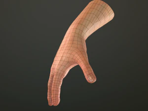 male hand rigged 3D Model