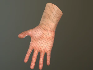 male hand rigged 3D Model