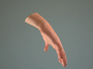 male hand rigged 3D Model