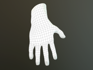 male hand rigged Modelo 3D