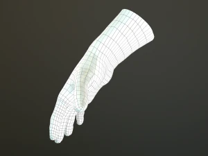 male hand rigged 3D Model