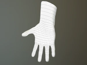 male hand rigged 3D Model