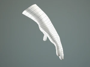 male hand rigged 3D Model