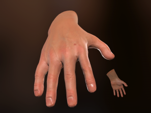 male hand rigged Modelo 3D