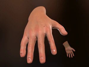 male hand rigged 3D Model