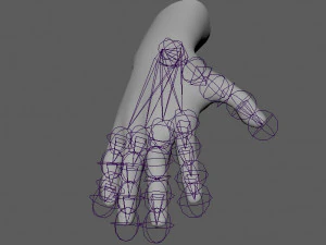 male hand rigged 3D Model