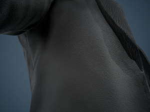 black coat Modello 3D