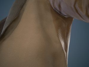 brown coat Model 3D
