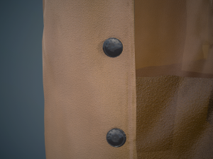 brown coat Model 3D