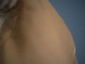 brown coat 3D Model