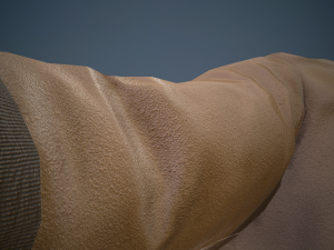 brown coat Model 3D