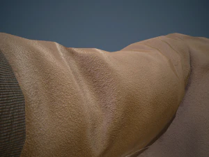 brown coat 3D Model