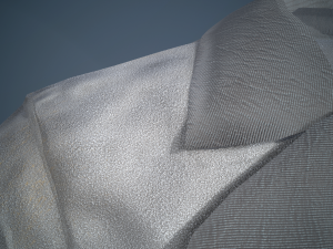 gray coat Modelo 3D