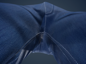 blue jeans pants Modelo 3D