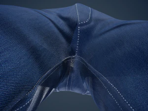 blue jeans pants 3D Model
