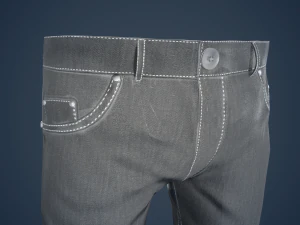 gray jeans pants 3D Model