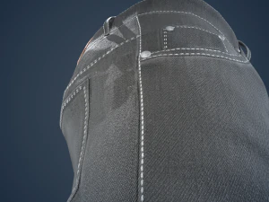 gray jeans pants 3D Model