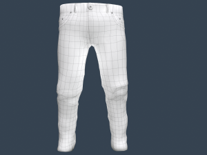 gray jeans pants 3D 模型