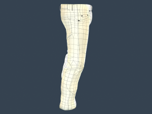 gray jeans pants 3D 模型