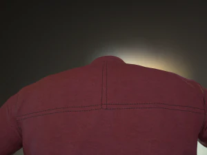 red shirt 3D Model