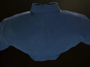 blue shirt 3D Model