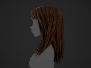 Female Hair Cards Style 3 - Long Hair 1 3D Model