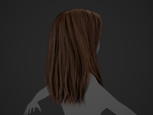 Female Hair Cards Style 3 - Long Hair 1 3D Model
