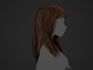Female Hair Cards Style 3 - Long Hair 1 3D Model