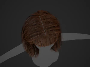 Female Hair Cards Style 3 - Long Hair 1 3D Model
