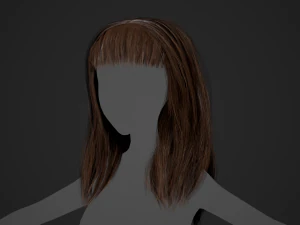 Female Hair Cards Style 3 - Long Hair 1 3D Model