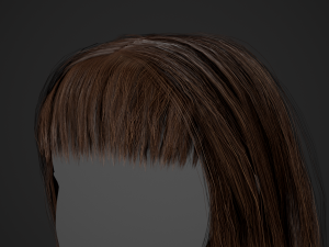Female Hair Cards Style 3 - Long Hair 1 3D Model