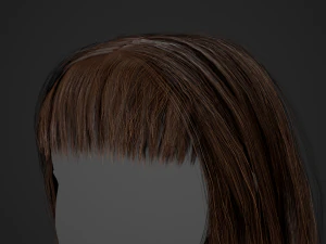 Female Hair Cards Style 3 - Long Hair 1 3D Model