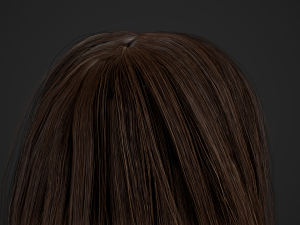 Female Hair Cards Style 3 - Long Hair 1 3D Model