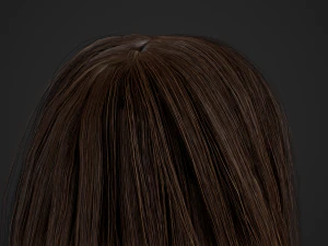 Female Hair Cards Style 3 - Long Hair 1 3D Model