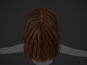 Female Hair Cards Style 3 - Long Hair 1 3D Model