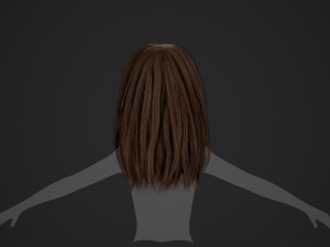 Female Hair Cards Style 3 - Long Hair 1 3D Model