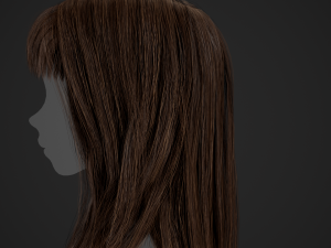 Female Hair Cards Style 3 - Long Hair 1 3D Model