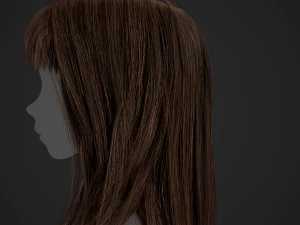Female Hair Cards Style 3 - Long Hair 1 3D Model