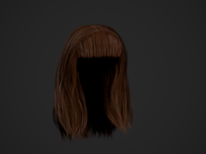 Female Hair Cards Style 3 - Long Hair 1 3D Model