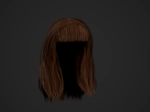 Female Hair Cards Style 3 - Long Hair 1 3D Model