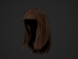 Female Hair Cards Style 3 - Long Hair 1 3D Model