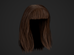 Female Hair Cards Style 3 - Long Hair 1 3D Model