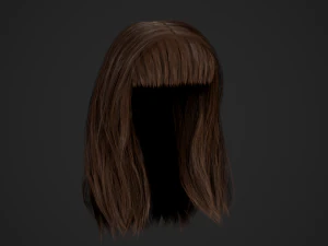 Female Hair Cards Style 3 - Long Hair 1 3D Model