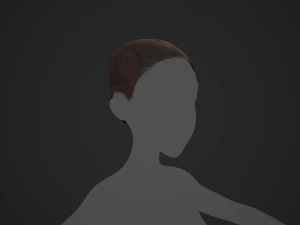 Female Hair Cards Style 3 - Long Hair 1 3D Model