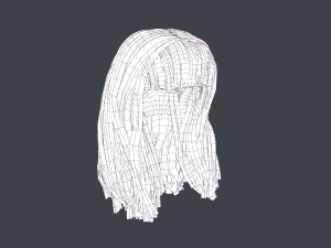Female Hair Cards Style 3 - Long Hair 1 3D Model