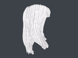 Female Hair Cards Style 3 - Long Hair 1 3D Model